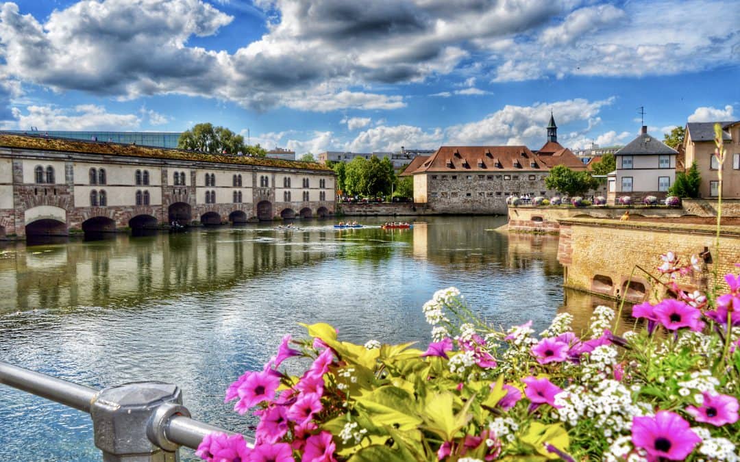 8 great reasons to check out France’s Alsace region—lavender fields included!
