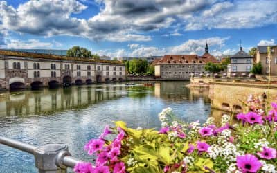 8 great reasons to check out France’s Alsace region—lavender fields included!