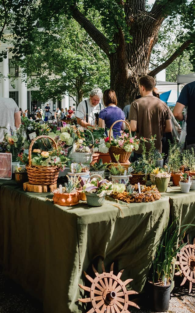 Discovering new Farmer's Markets