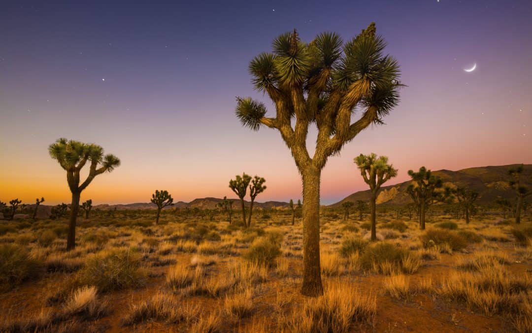 12 unique ways to give the gift of conscious travel this holiday season
