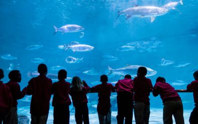 Top things to do with kids in New Orleans