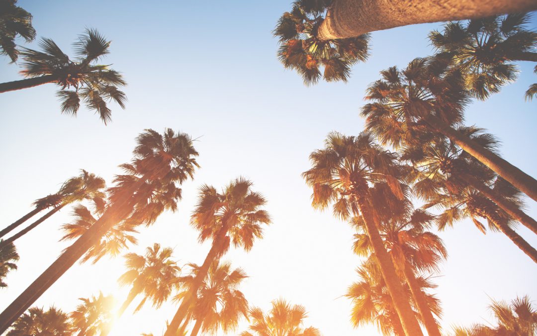 This is where your state spring breaks (Infographic)