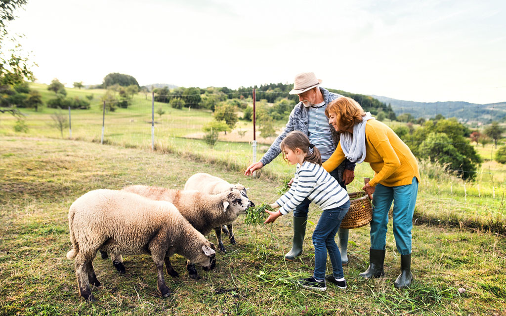 7 farm stays to check into right now
