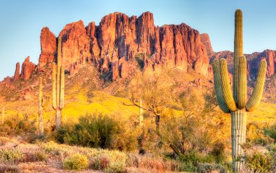 We’re officially in love with Phoenix, here’s why