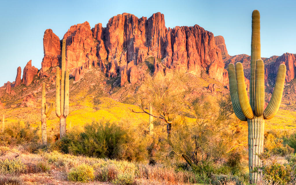 We’re officially in love with Phoenix, here’s why