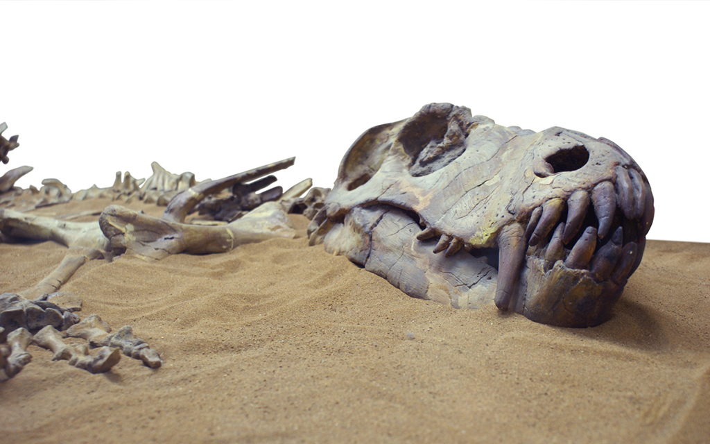 Dig into dinosaur fandom at these 8 destinations