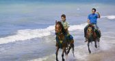 8 kid-friendly things to do in Turks and Caicos