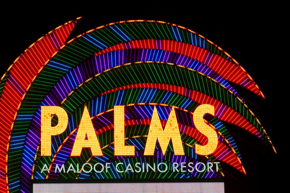 Palms