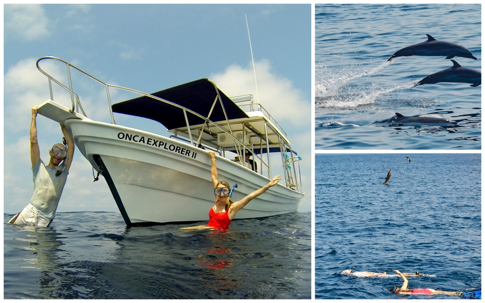 Onca Explorations - HoneyTrek
