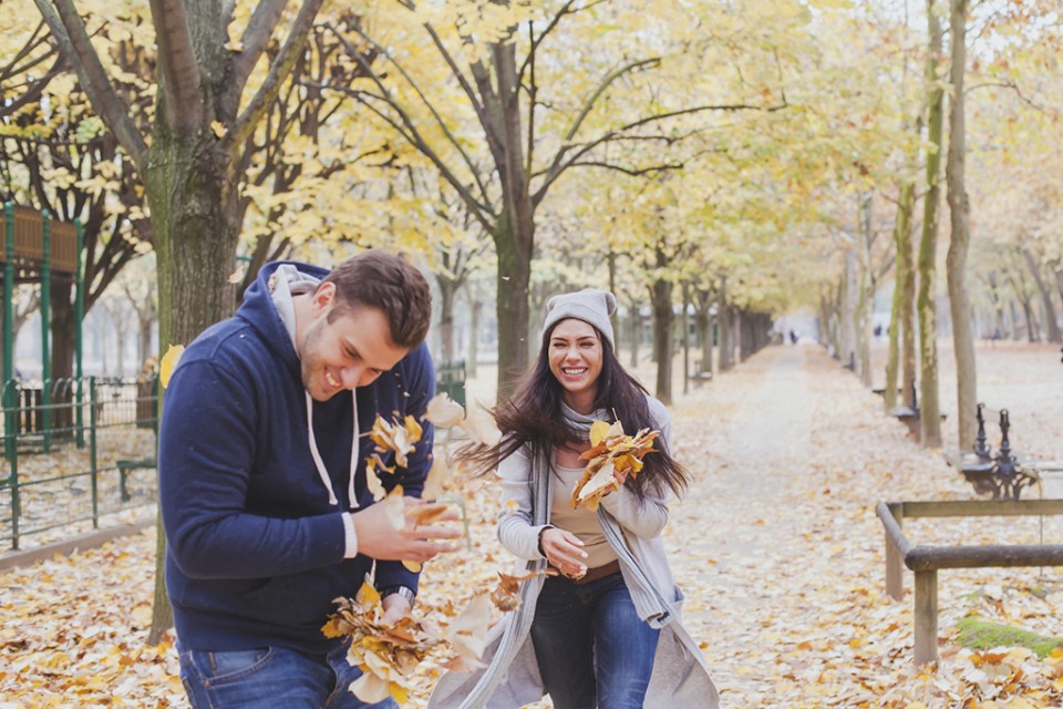 FallLeaves