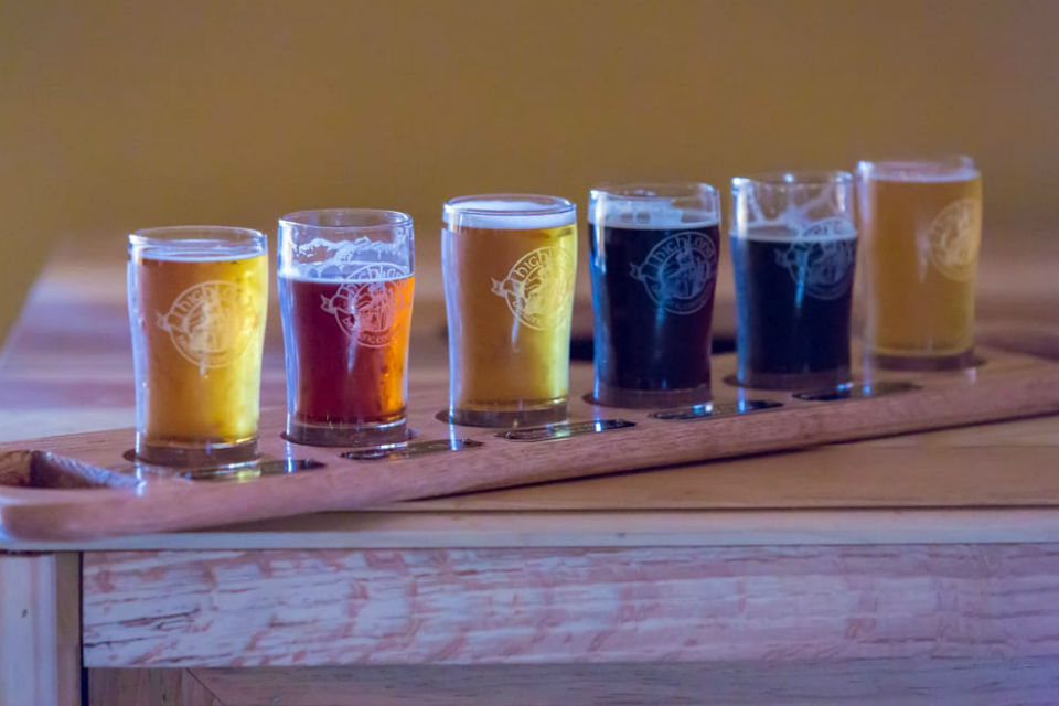 Flight of Seasonal Brews at Highland Brewing Company, Asheville, NC
