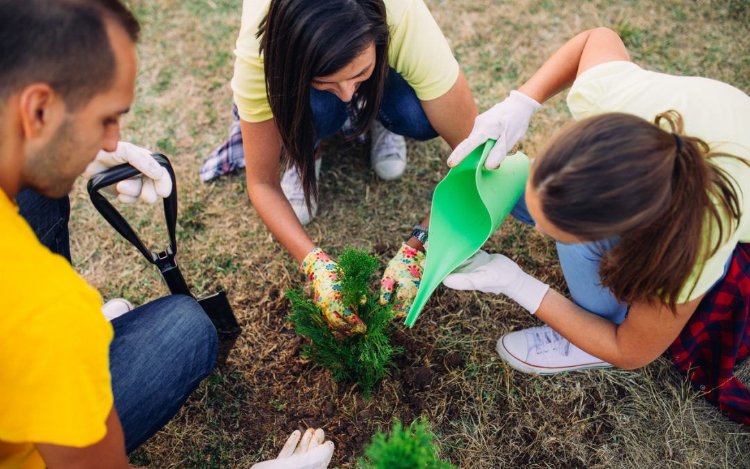Volunteering on vacation: Travelocity survey reveals one in four travelers plan to give back on the go this year