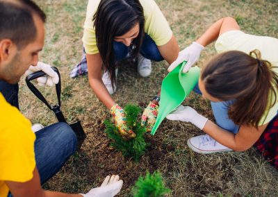 Volunteers watering seedlings